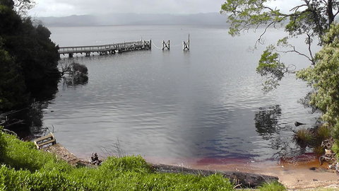 Gordon River Cruise Departing From Strahan - Accommodation Perth 22