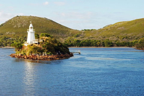 Gordon River Cruise Departing From Strahan - Accommodation Perth 25