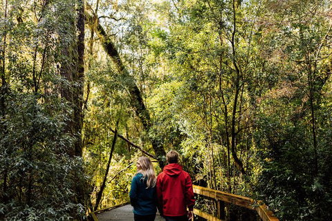 Gordon River Cruise Departing From Strahan - Accommodation Perth 31