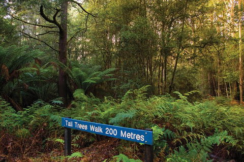 Small-group Tour From Hobart: Derwent River Valley And Coal River Valley - Accommodation Perth 7