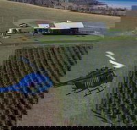 Bangor Vineyard Shed Helicopter Tour - Accommodation Perth
