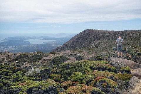 Kunany / Mt Wellington Explorer Bus - 2 Hour Return Tour - Accommodation Perth 4
