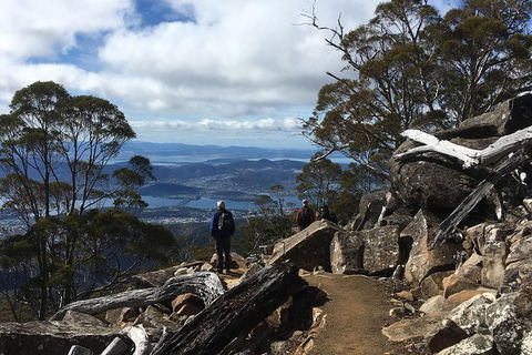Kunany / Mt Wellington Explorer Bus - 2 Hour Return Tour - Accommodation Perth 9
