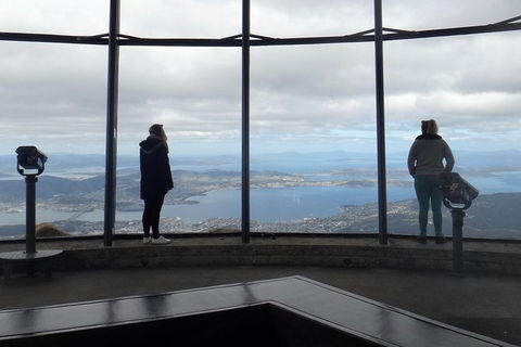 Kunany / Mt Wellington Explorer Bus - 2 Hour Return Tour - Accommodation Perth 8