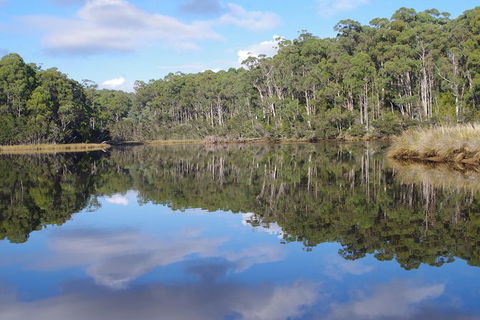 Leven River Picnic Cruise From Ulverstone - Accommodation Perth 1