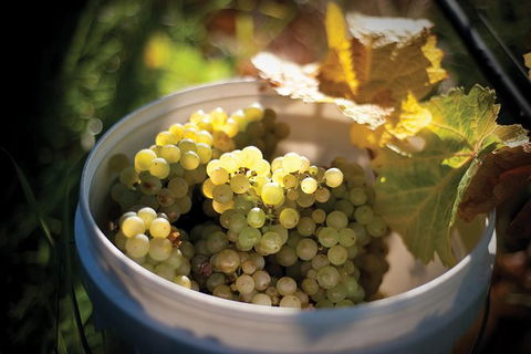 Private Richmond Food And Wine Day Trip From Hobart - Accommodation Perth 1