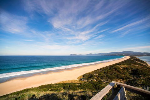 Private Bruny Island Food And Wine Day Trip From Hobart - Accommodation Perth 1