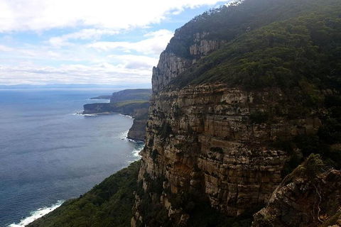 2-Day: Hobart Hiking Tour: Cape Raoul And Mount Field - Tarn Shelf - Accommodation Perth 7