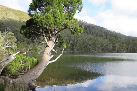 2-Day: Hobart Hiking Tour: Cape Raoul And Mount Field - Tarn Shelf - Accommodation Perth 3