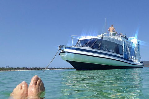 Maria Island Cruise + Walk. Renowned Day Tour With Drinks And Guided Walk - Accommodation Perth 1