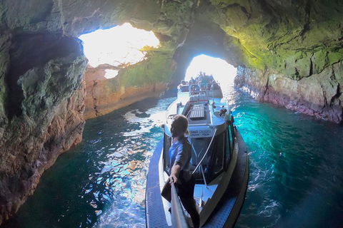 Maria Island Cruise + Walk. Renowned Day Tour With Drinks And Guided Walk - Accommodation Perth 4