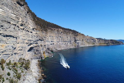 Maria Island Cruise + Walk. Renowned Day Tour With Drinks And Guided Walk - Accommodation Perth 13