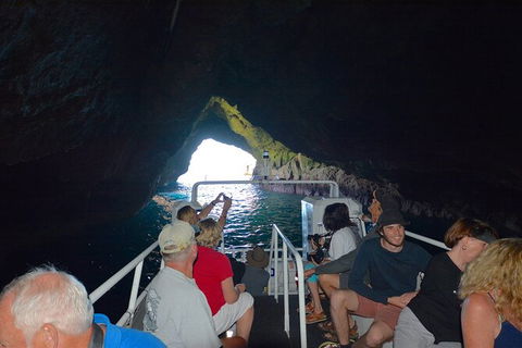 Maria Island Cruise + Walk. Renowned Day Tour With Drinks And Guided Walk - Accommodation Perth 11