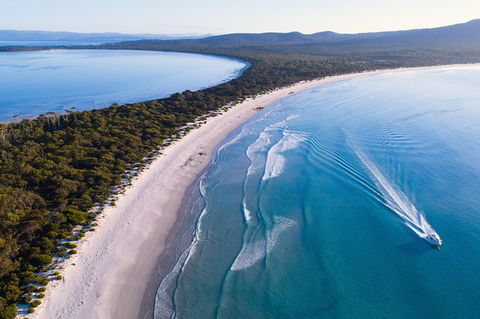 Maria Island Cruise + Walk. Renowned Day Tour With Drinks And Guided Walk - Accommodation Perth 2