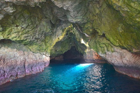 Maria Island Cruise + Walk. Renowned Day Tour With Drinks And Guided Walk - Accommodation Perth 5