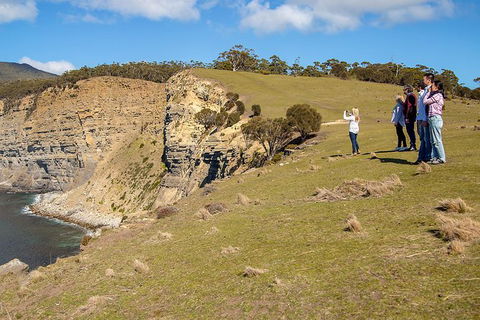 Wineglass Bay And Maria Island Wildlife Scenic Flight From Hobart - Accommodation Perth 5