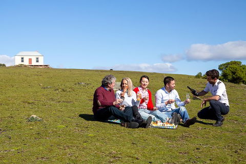 Wineglass Bay And Maria Island Wildlife Scenic Flight From Hobart - Accommodation Perth 6