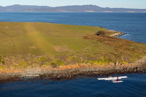 Wineglass Bay And Maria Island Wildlife Scenic Flight From Hobart - Accommodation Perth 10