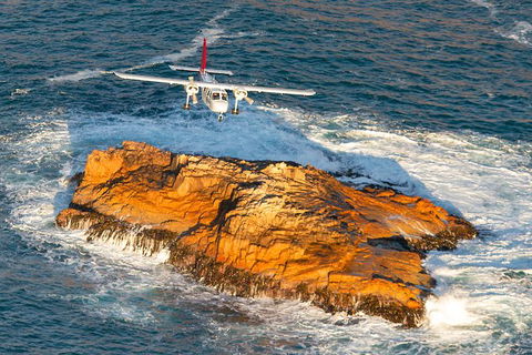 Wineglass Bay And Maria Island Wildlife Scenic Flight From Hobart - Accommodation Perth 7