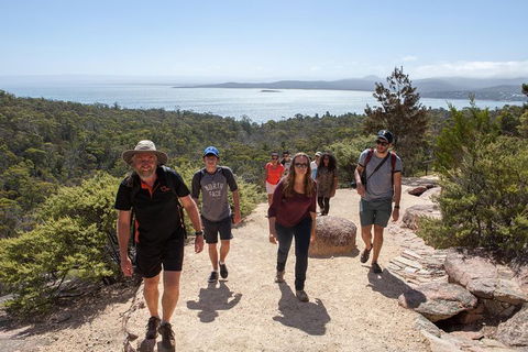 Active Day Tour One-Way From Hobart To Launceston With Wineglass Bay - Accommodation Perth 1