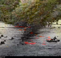 Meander Wilderness Experiences - Accommodation Perth
