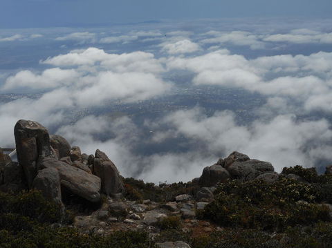 Cruise Ship Special Ex Hobart: Mt Wellington, Richmond, Bonorong With Free WiFi - Accommodation Perth 15