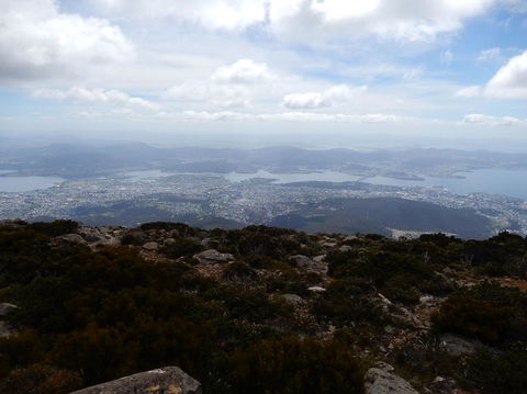 Cruise Ship Special Ex Hobart: Mt Wellington, Richmond, Bonorong With Free WiFi - Accommodation Perth 10