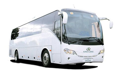 Cruise Ship Special Ex Hobart: Mt Wellington, Richmond, Bonorong With Free WiFi - Accommodation Perth 19