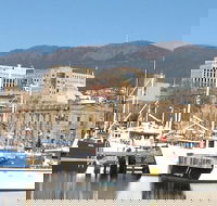 Private Mt Wellington Richmond Bonorong Wildlife Sanctuary Tour from Hobart - Accommodation Perth