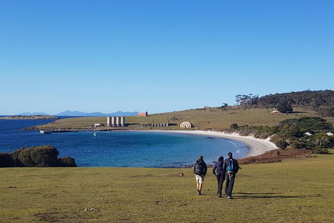 6-Day Best Of Tasmania Hiking Tour From Hobart - Accommodation Perth 1