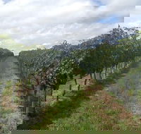 Coal River Valley  Hobart food  wine grazing tour - Accommodation Perth