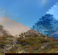 Hartz Peak Hiking Tour - Hartz Mountains National Park - Accommodation Perth