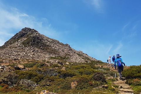 Hartz Peak Hiking Tour - Hartz Mountains National Park - Accommodation Perth 0