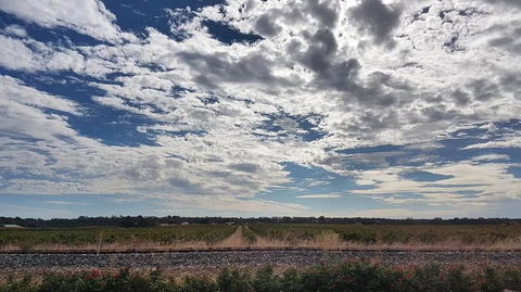 Barossa Valley Full-Day Tour From Adelaide With Maggie Beer Farm - Accommodation Perth 3