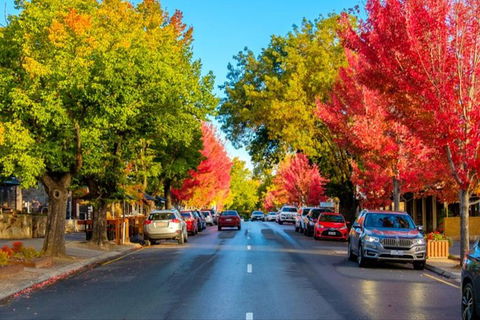 Barossa Valley Full-Day Tour From Adelaide With Maggie Beer Farm - Accommodation Perth 6