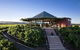 McLaren Vale Hop-On Hop-Off Winery Tour From Adelaide - thumb 6