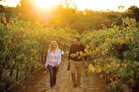 Barossa Valley Highlights From Adelaide Including Wine And Cheese Tasting - Accommodation Perth 11