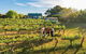 Barossa Valley Highlights From Adelaide Including Wine And Cheese Tasting - thumb 14