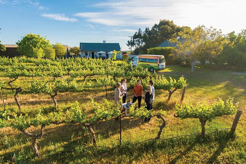 Barossa Valley Highlights From Adelaide Including Wine And Cheese Tasting - Accommodation Perth 14