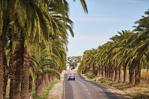Barossa Valley Highlights From Adelaide Including Wine And Cheese Tasting - Accommodation Perth 3