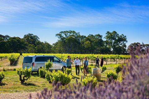 Micro-Group Barossa Valley Wine Tour From Adelaide - Accommodation Perth 2