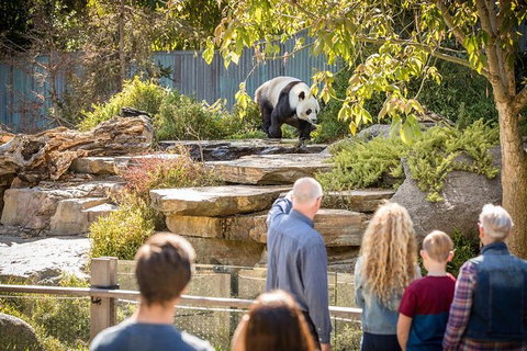 Adelaide Zoo Behind The Scenes Experience: Panda And Friends Tour - Perth Resorts 0