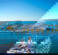 2 Hour Aquarium Tour - Perth Resorts