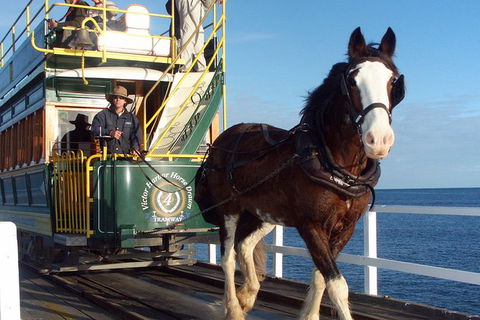 Full-Day Tour In South Australia Highlights - Accommodation Perth 2