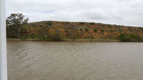 Murray River Riverboat Tour Including Lunch From Adelaide - Accommodation Perth 9