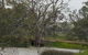 Murray River Riverboat Tour Including Lunch From Adelaide - thumb 2