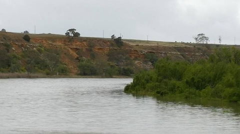 Murray River Riverboat Tour Including Lunch From Adelaide - Accommodation Perth 6