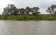 Murray River Riverboat Tour Including Lunch From Adelaide - thumb 10