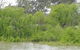 Murray River Riverboat Tour Including Lunch From Adelaide - thumb 5