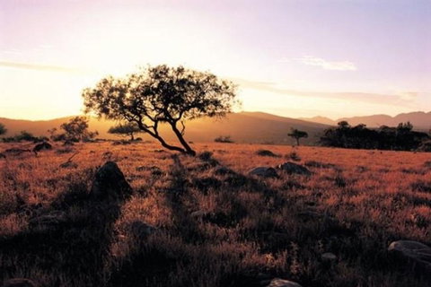 Adelaide To Coober Pedy 7 DAY SMALL GROUP 4WD SAFARI - Perth Resorts 0